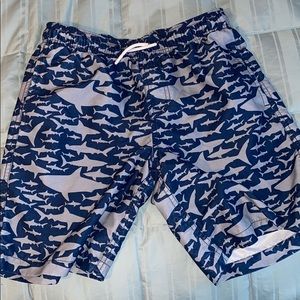 Southern Tide Swim trunks